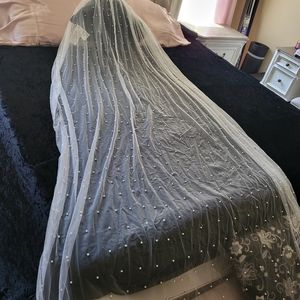 Wedding cathedral length veil